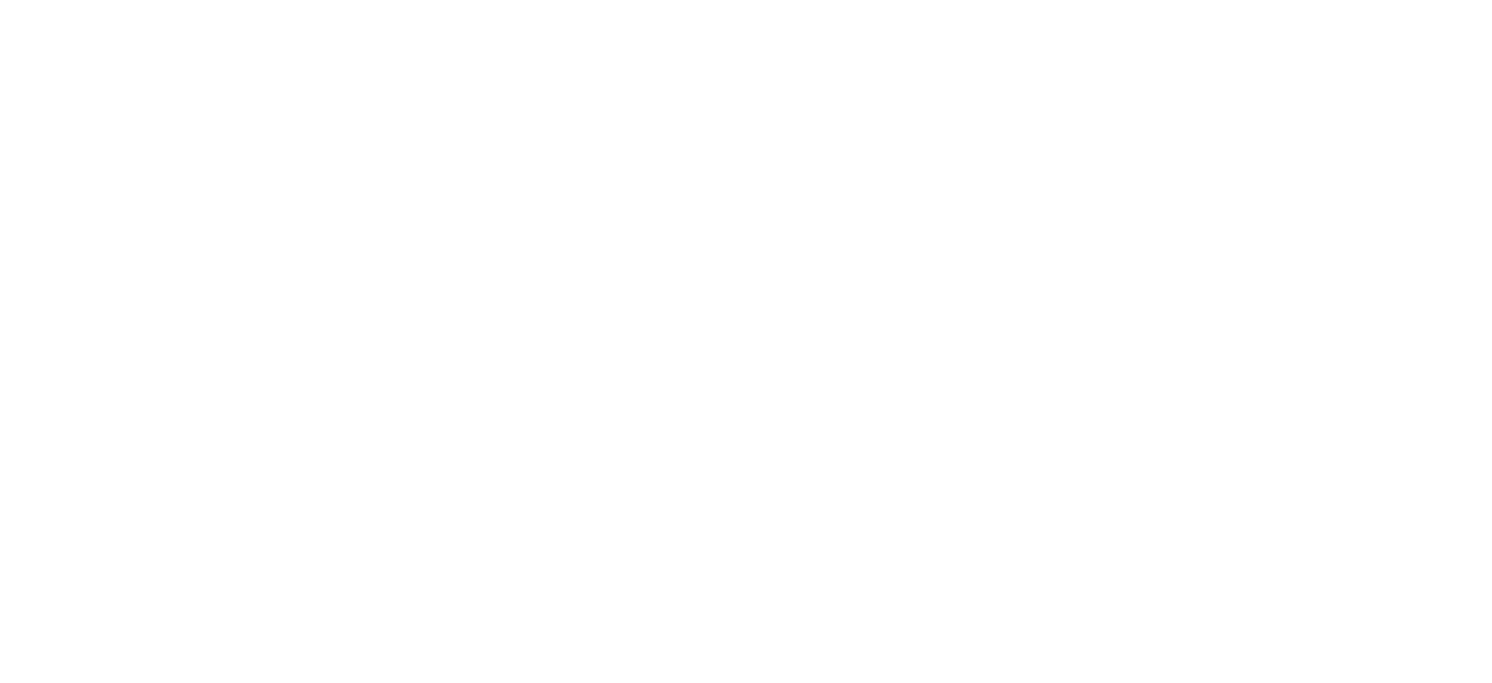 Diagram with all the roles that have been discussed