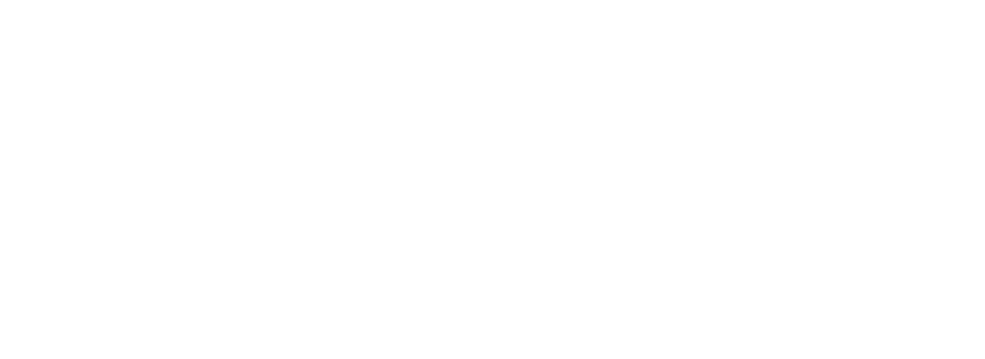 Diagram of the roles that came from programmers