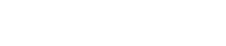 Diagram of the roles that came from researchers